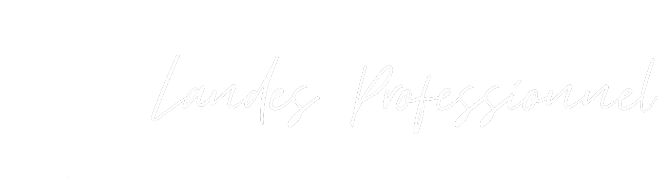 Logo LANDES PROFESSIONNEL